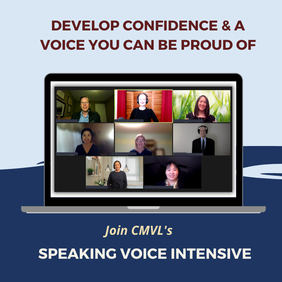 Public Speaking Voice Lessons for adults